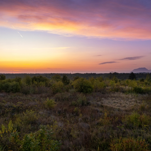 DJI_0510-Enhanced-NR DJI_0510-Enhanced-NR